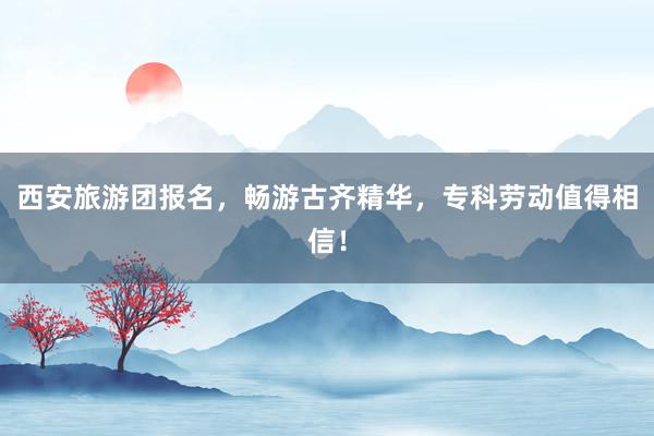 西安旅游团报名，畅游古齐精华，专科劳动值得相信！