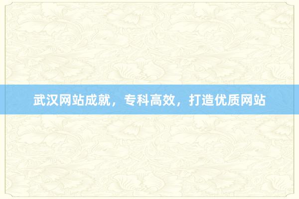武汉网站成就，专科高效，打造优质网站