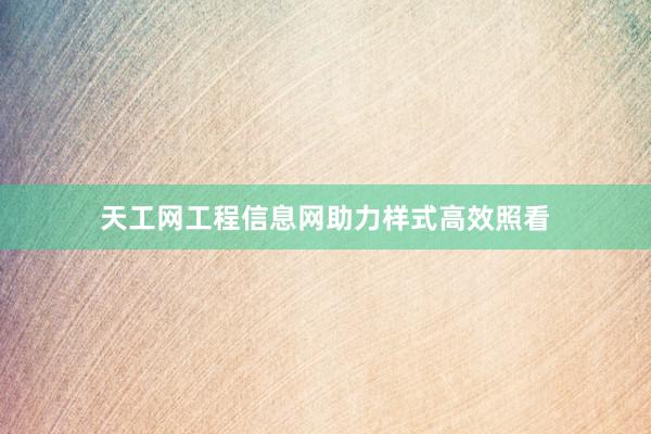天工网工程信息网助力样式高效照看