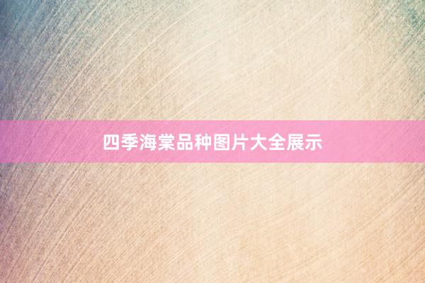 四季海棠品种图片大全展示