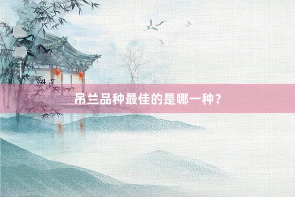 吊兰品种最佳的是哪一种？