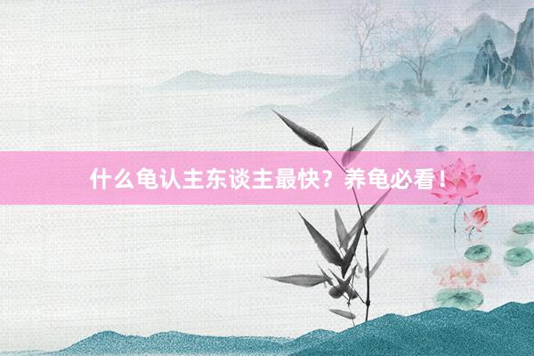 什么龟认主东谈主最快？养龟必看！